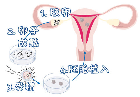 副院长