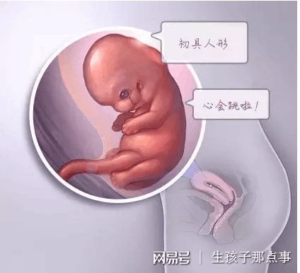 42岁高龄二胎成功案例